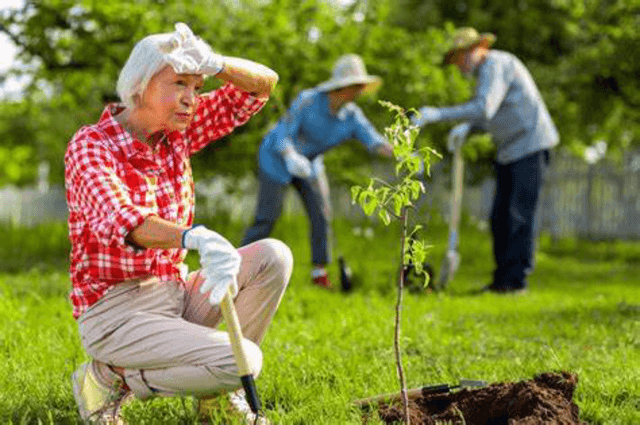 Service de jardinage