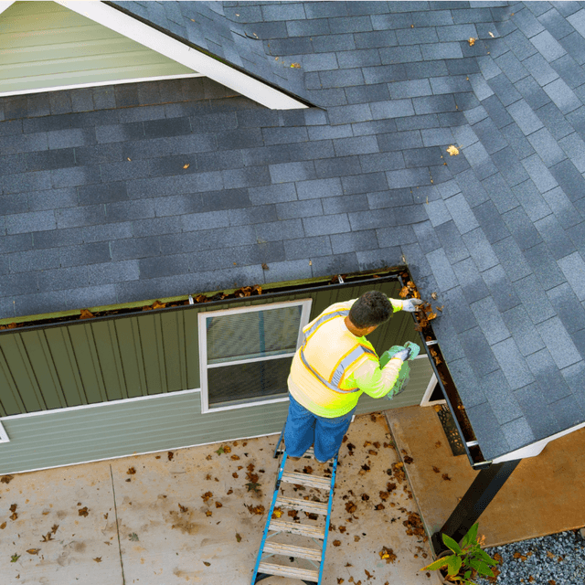 Have my gutters cleaned.