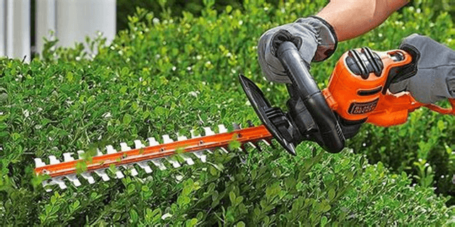 Rent a hedge trimmer